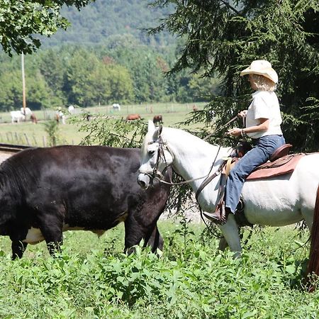 French Broad Outpost Ranch Hotell Del Rio Eksteriør bilde