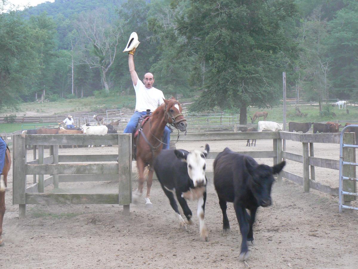 French Broad Outpost Ranch Hotell Del Rio Eksteriør bilde