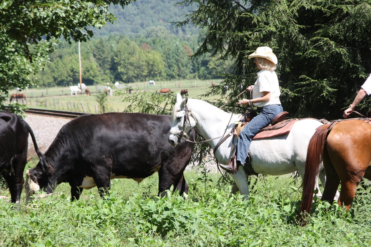 French Broad Outpost Ranch Hotell Del Rio Eksteriør bilde